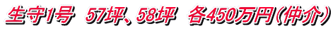 生守1号　57坪、58坪　各450万円（仲介）